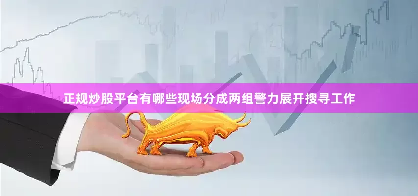 正规炒股平台有哪些现场分成两组警力展开搜寻工作