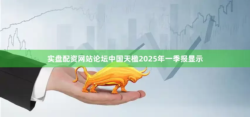 实盘配资网站论坛中国天楹2025年一季报显示